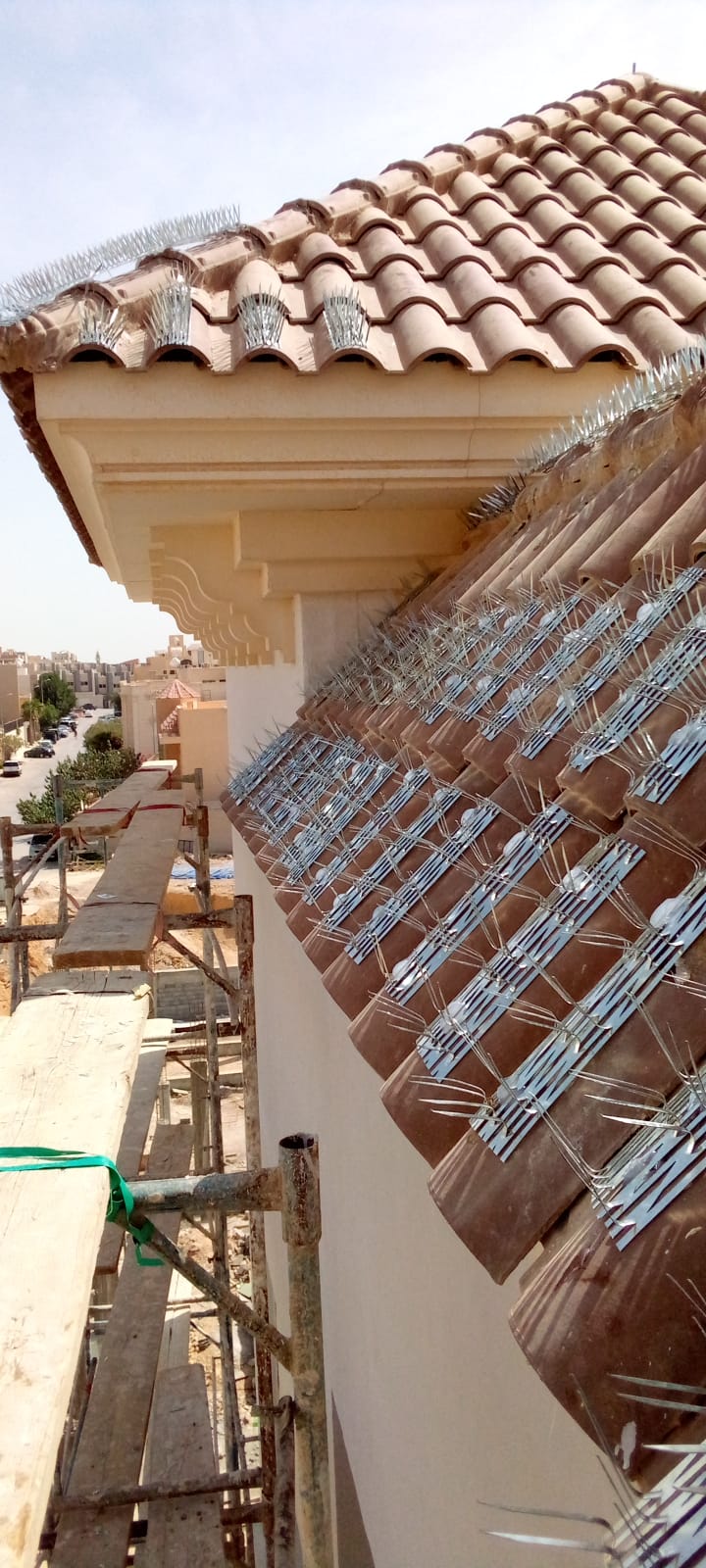 طارد الحمام